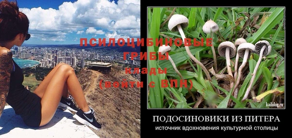 молекула духа Осташков