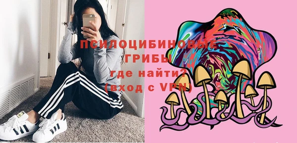 a pvp Алзамай