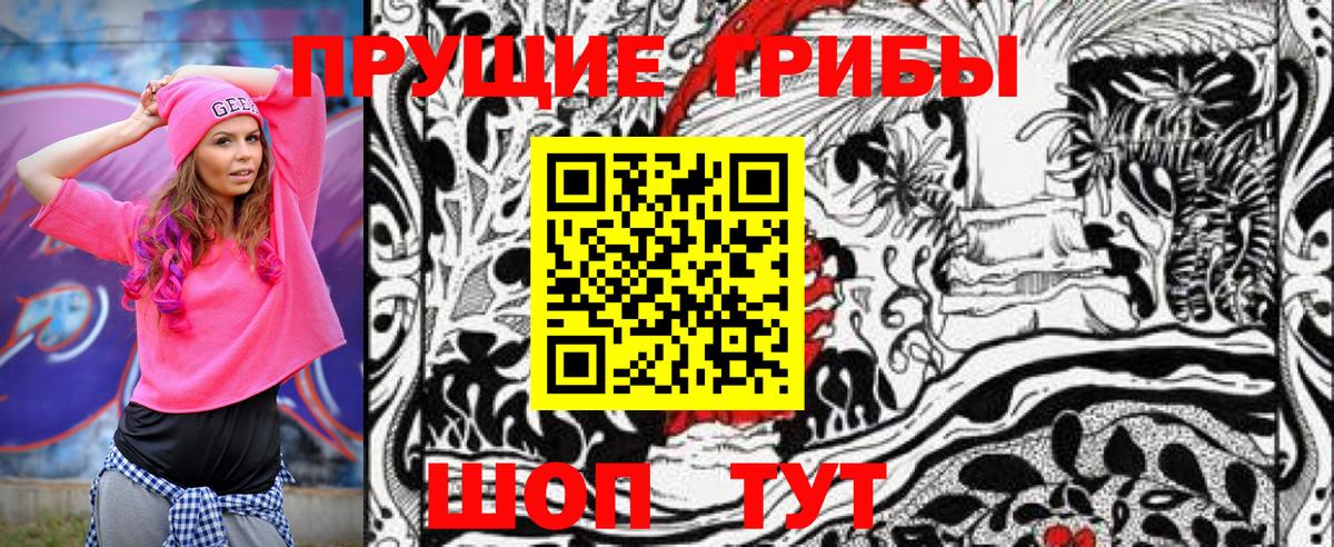 Галлюциногенные грибы MAGIC MUSHROOMS  Вход с VPN  Псилоцибиновые грибы GOLDEN TEACHER  Энгельс 