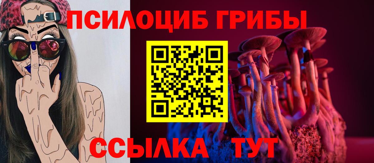 Псилоцибиновые грибы прущие грибы Энгельс